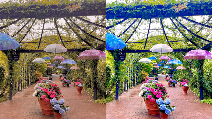 two pictures of a flower garden with different filters